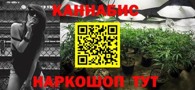 МДПВ Краснознаменск