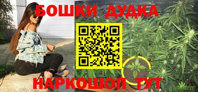 МДПВ Краснознаменск