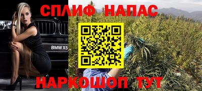 МДПВ Краснознаменск